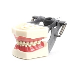 760 Lower Ivorine Epoxy Jaw Reg/MQD